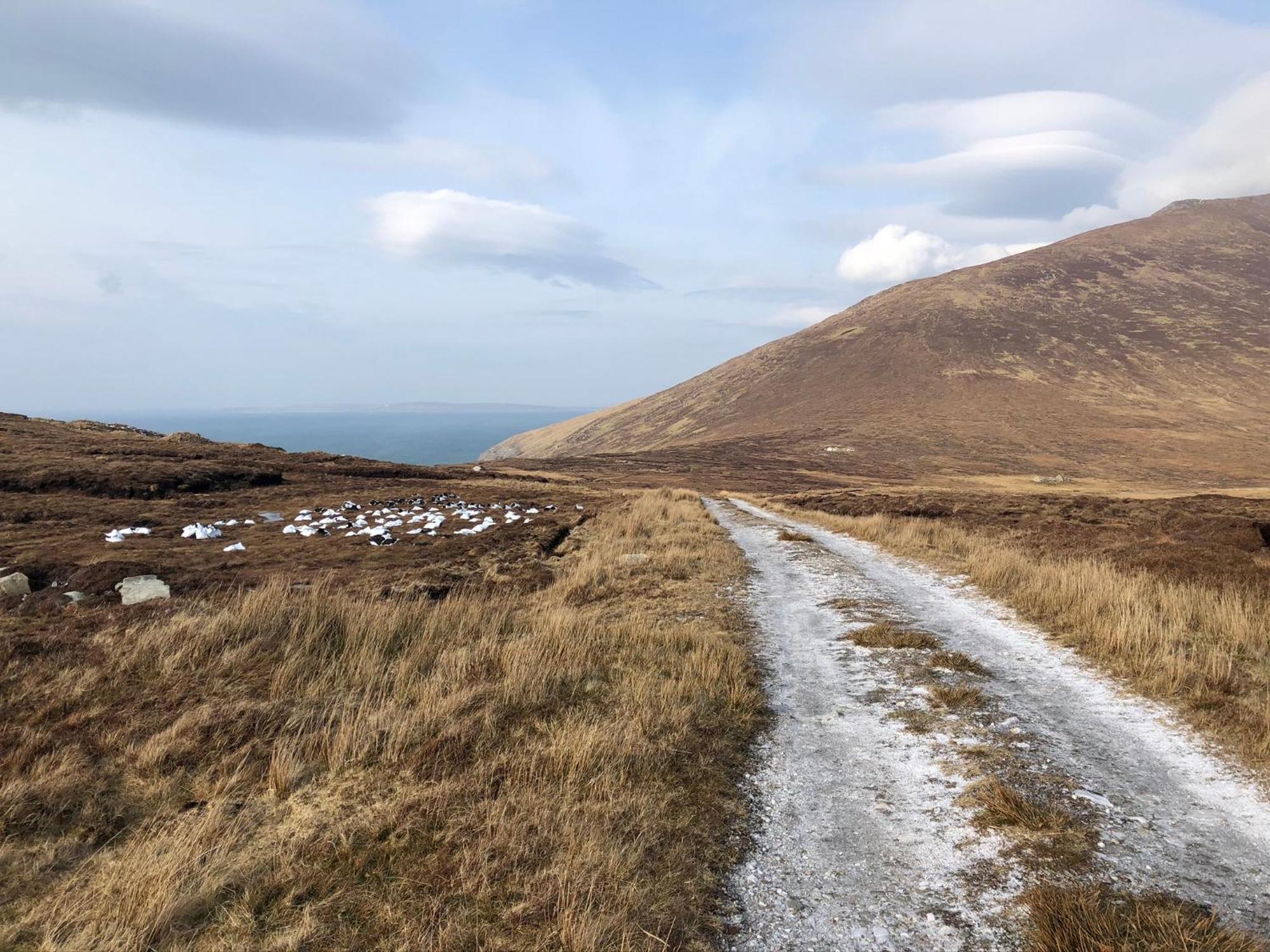 Teach Cruachan Bed&Breakfast Dooagh Exterior foto