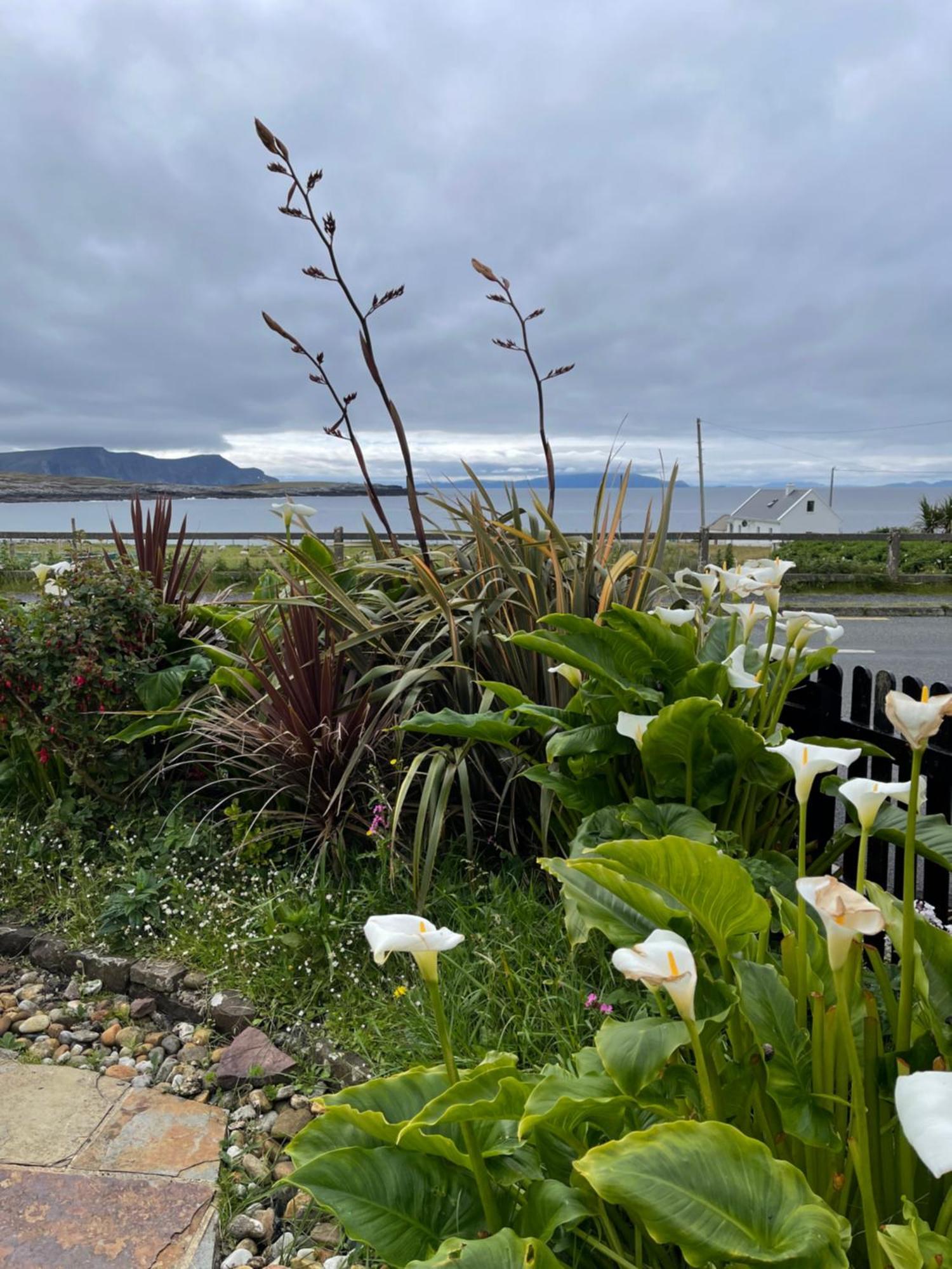 Teach Cruachan Bed&Breakfast Dooagh Exterior foto